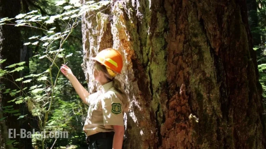 Deadline Approaches for Input on Forest Service’s Pacific Northwest HQ Closure