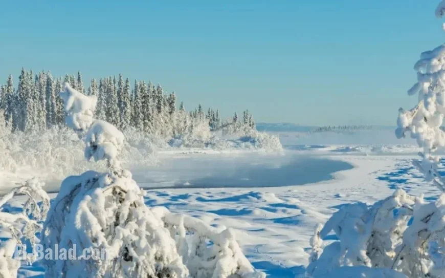 Winter Alert: 9 Inches of Snow Forecasted