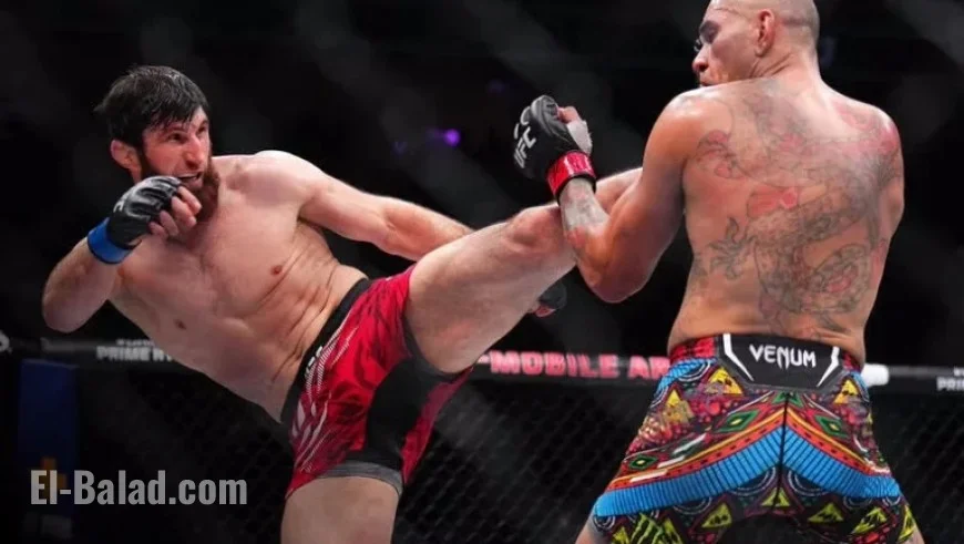 Magomed Ankalaev Shows Improved Performance
