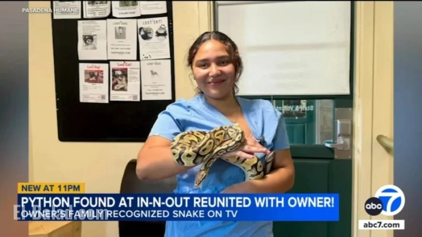 Lost Python at Monrovia In-N-Out Reunites with Owner