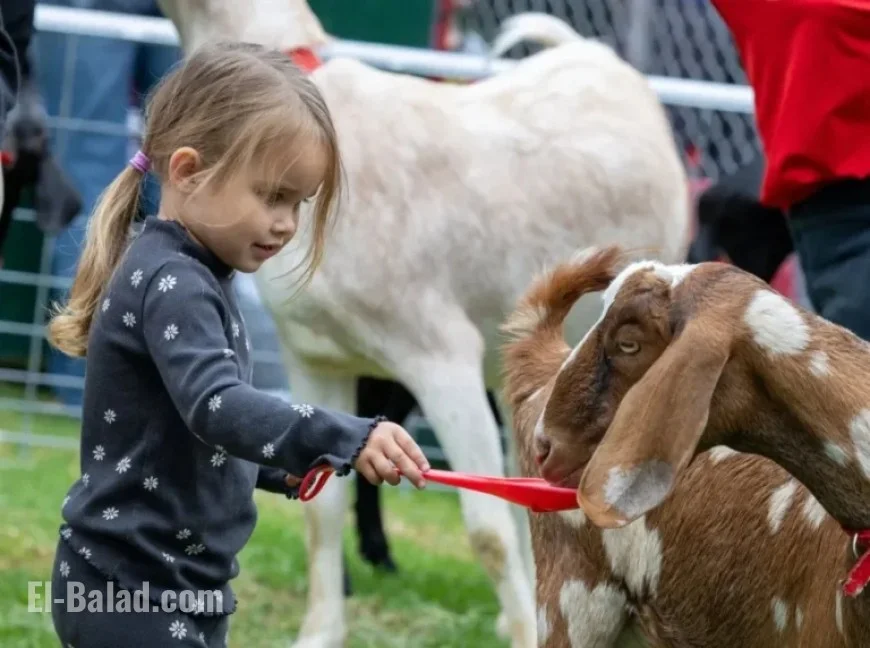 Manhattan Beach Hosts 53rd Annual Hometown Fair This Weekend