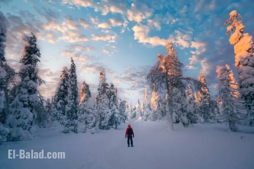 Coldest Winter Weather Predicted for These States