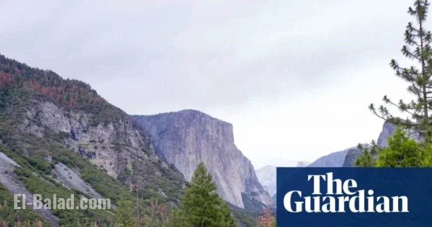 Climbing Prodigy Balin Miller, 23, Dies in El Capitan Fall