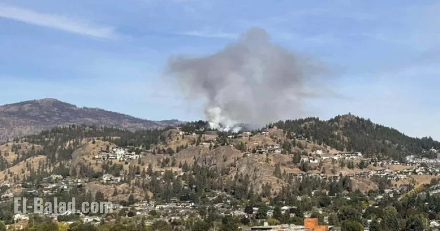 Smoke from Knox Mountain: No Cause for Alarm