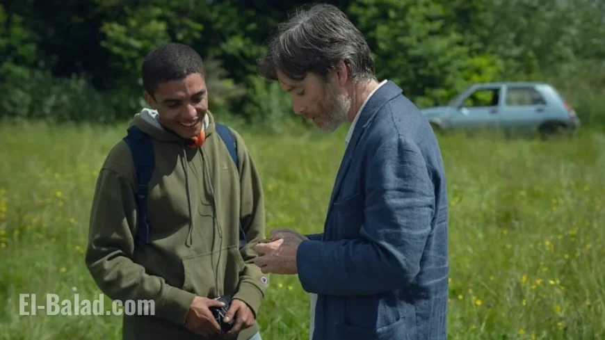 Cillian Murphy’s “Steve”: Ending Explained and Plot Overview