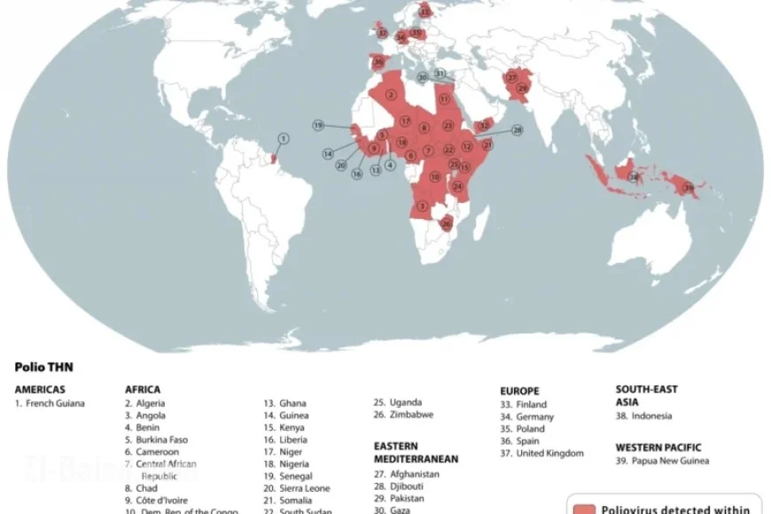 Endorsement for Fractional IPV Doses to Eradicate Polio