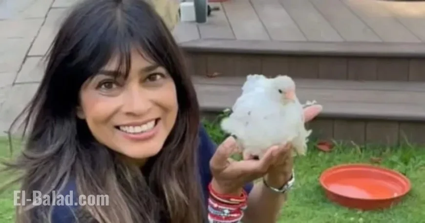 Inside Nisha Katona’s Life: Mowgli Founder at Home and in Liverpool