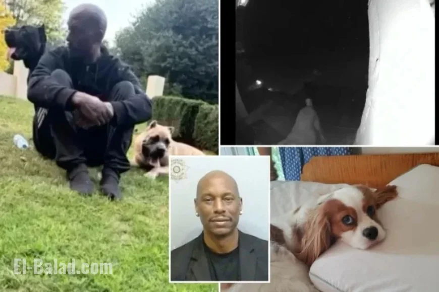 Tyrese Gibson Arrested After Dogs Kill Neighbor’s Dog in Georgia
