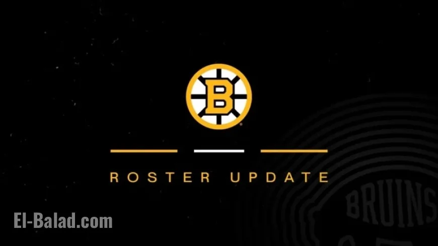 Bruins Reveal Training Camp Roster Changes