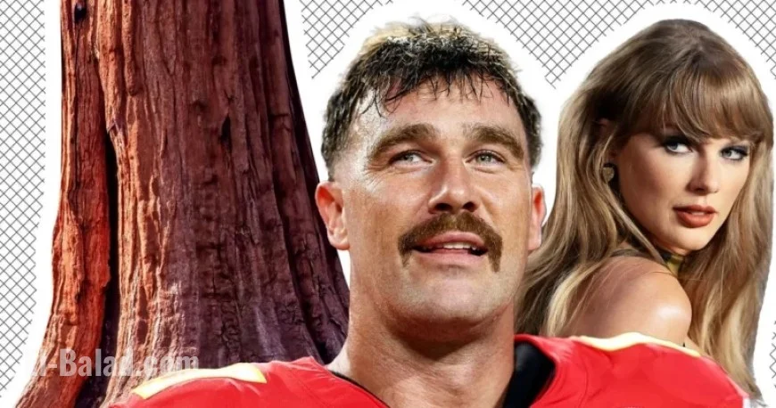 Taylor Swift Sings Clever Puns About Travis Kelce’s ‘Wood’