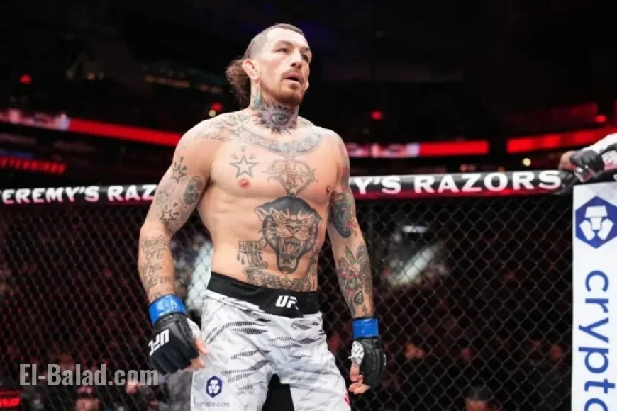 UFC 320: Expert Predictions for Ramiz Brahimaj vs. Austin Vanderford