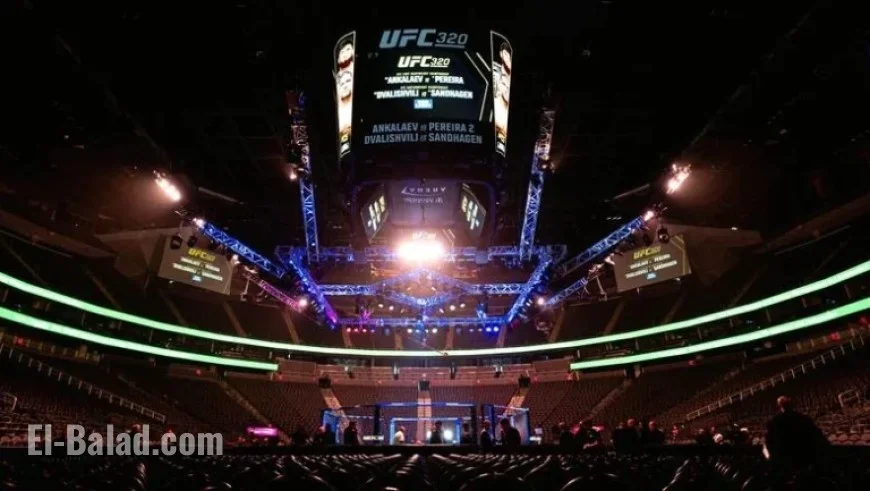 Ankalaev vs Pereira 2: Preliminary Results Revealed