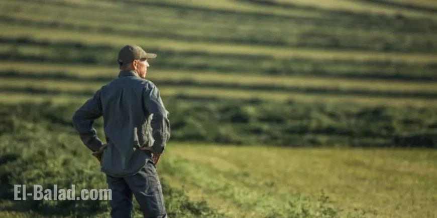 Soaring Farm Bankruptcies Prompt Trump’s $14 Billion Bailout Plan