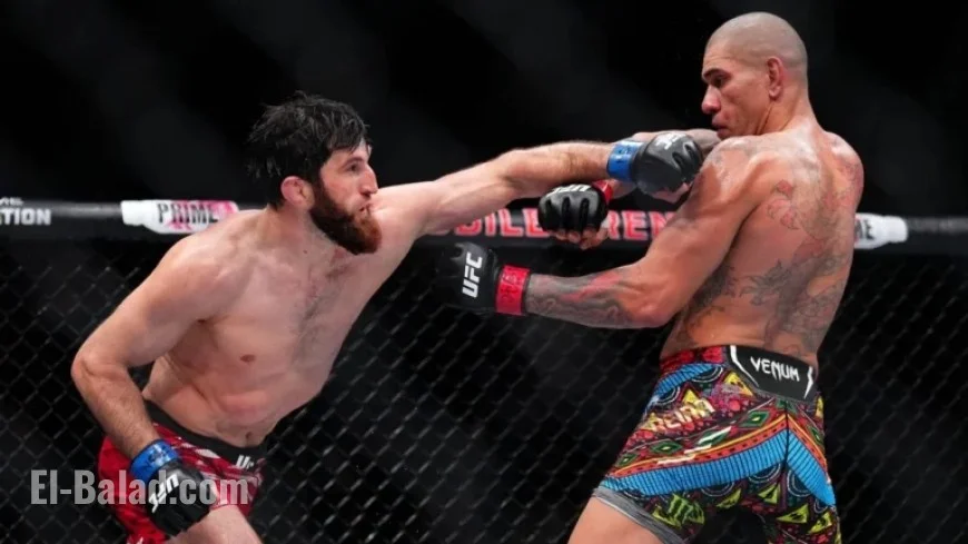UFC 320: Ankalaev vs. Pereira 2 – Live Results and Analysis