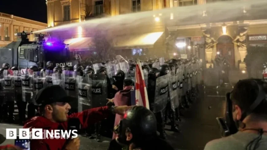 Protesters Attempt to Storm Tbilisi Presidential Palace in Georgia