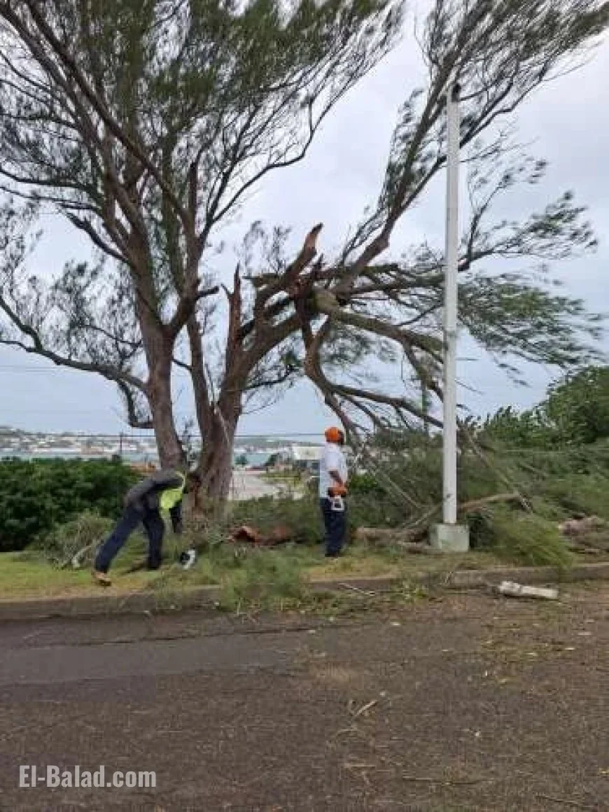 Island Launches Cleanup Effort Following Imelda’s Aftermath