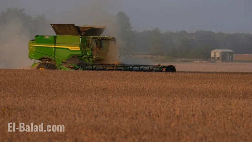 Trump Proposes Aid for US Soybean Farmers Amid China Trade Talks