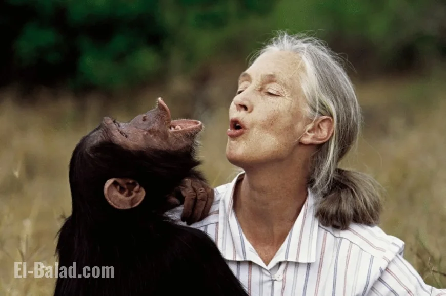 Breaking: Jane Goodall Cause of Death Disclosed — A Life That Transcended Loss and Inspired the World