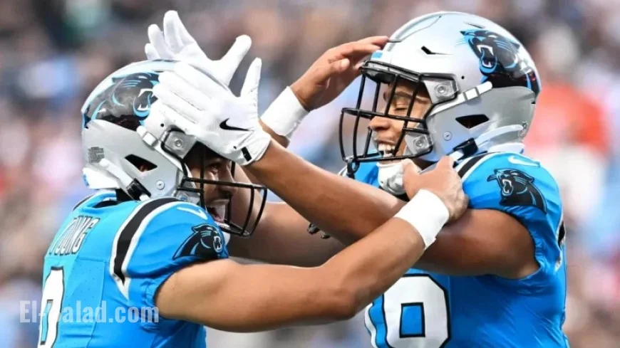 Predictions and Odds for Miami Dolphins vs. Carolina Panthers NFL Week 5