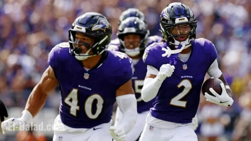 Ravens Defensive Coordinator Reveals Turnover Strategy for Baltimore Ravens