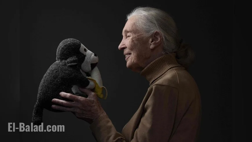 Jane Goodall Cause of Death: World Mourns the Peaceful Passing of a Global Conservation Icon at 91