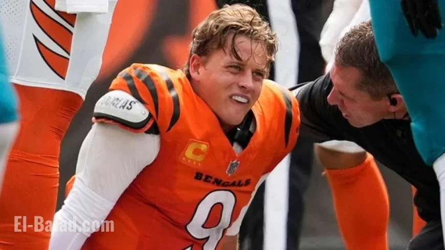 Joe Burrow’s Absence Forces Bengals to Rely on Backup QBs as Pressure Mounts in Cincinnati