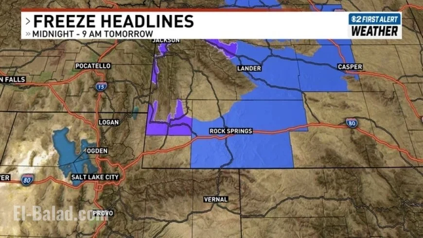 Widespread Freeze Warning in Oregon as Temperatures Plunge to the 20s — How Residents Can Prepare for the First Major Cold Snap