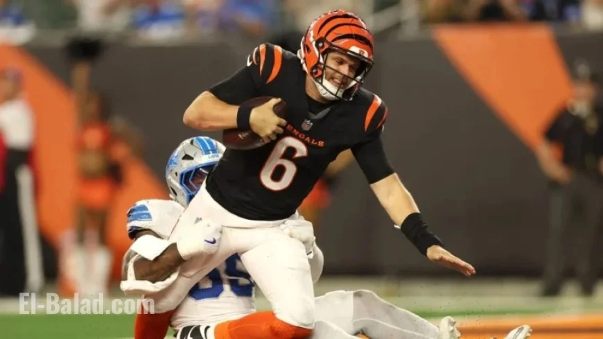 Bengals’ Taylor to Evaluate All Personnel