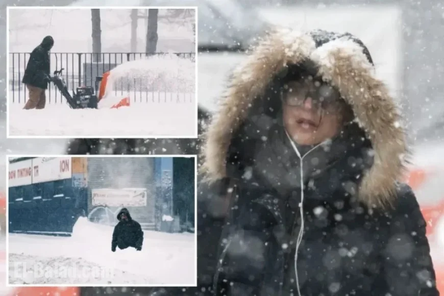 Meteorologists Predict Increased Snowfall for NYC This Winter