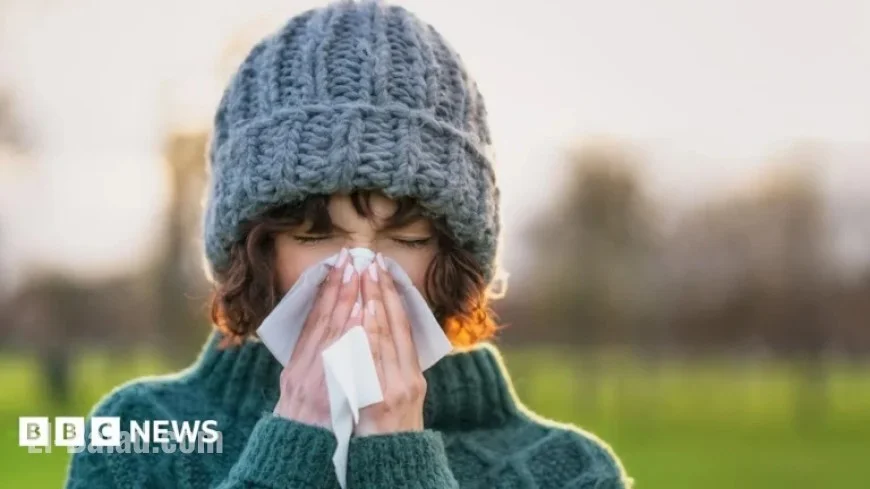 Expert Tips to Prevent Severe Cold, Flu, and COVID Symptoms