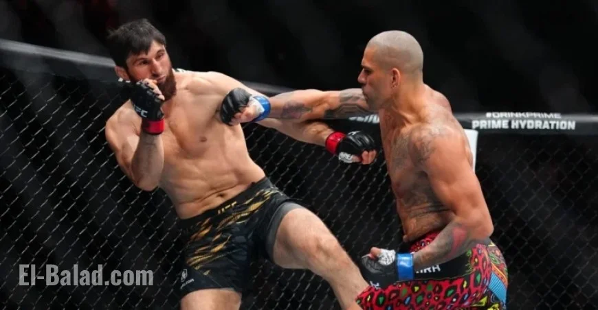 Magomed Ankalaev Breaks Silence Following Knockout Defeat to Alex Pereira