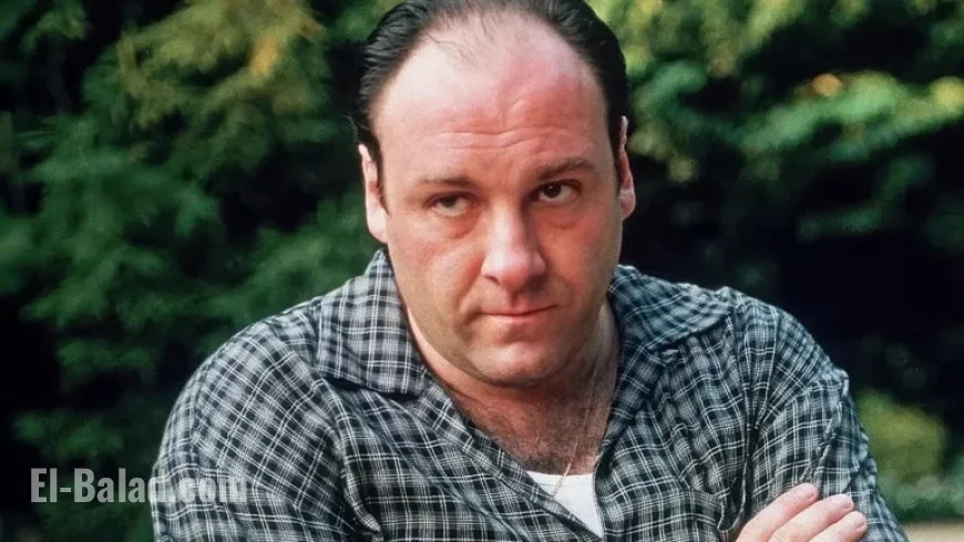 Dr. Melfi Overlooks Key Aspect of Tony’s Duck Dream in ‘The Sopranos’