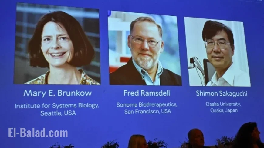 Two US Scientists and a Japanese Researcher Win Nobel Prize in Medicine