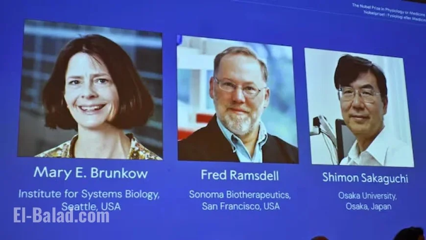 American and Japanese Scientists Clinch Nobel Prize in Medicine