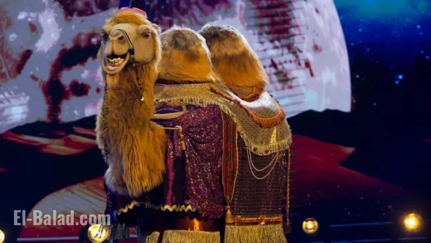 Masked Singers: “Bibi et Geneviève” Youth Show Duo Revealed