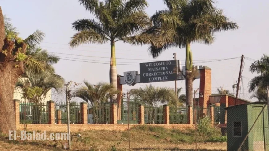 US Deportees’ Plane Arrives in Eswatini, Lawyer Reports