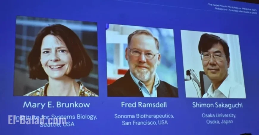 US and Japan Scientists Win Nobel Medicine Prize for Immune System Breakthrough
