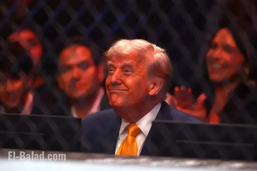 UFC Fight Scheduled at White House on Donald Trump’s Birthday