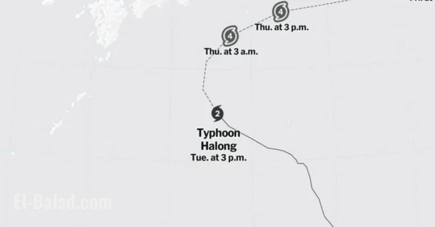 Typhoon Halong: Interactive Maps Track Its Path