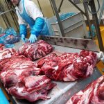 المملكة العربية السعودية توسع قائمة موردي لحم الضأن والحليب الروسيين