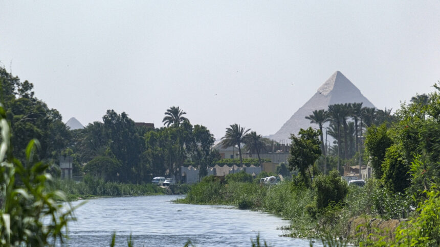 مصر.. الحكومة المصرية تتحرك لمواجهة لحماية المحاصيل من موجات الحر الشديد