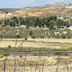 الجيش الإسرائيلي يعلن عن اكتشاف قاذفتين لصاروخين تم إطلاقهما على مستوطنة شكيد