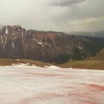 تحول نهر جليدي إلى اللون الأحمر في ألتاي ، روسيا فيديو