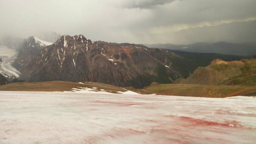 تحول نهر جليدي إلى اللون الأحمر في ألتاي ، روسيا فيديو